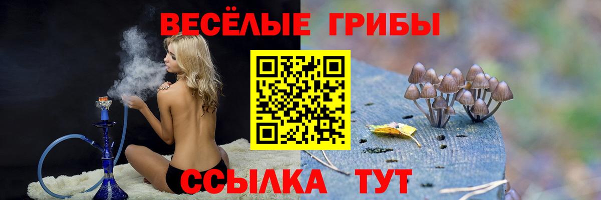 Норильск  Галлюциногенные грибы Magic Shrooms  Вход с VPN  Псилоцибиновые грибы Psilocybine cubensis 